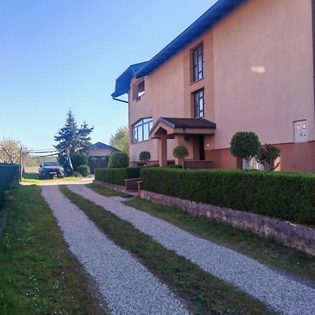 Apartman Kristian Zagreb Airport Велика-Горица Экстерьер фото